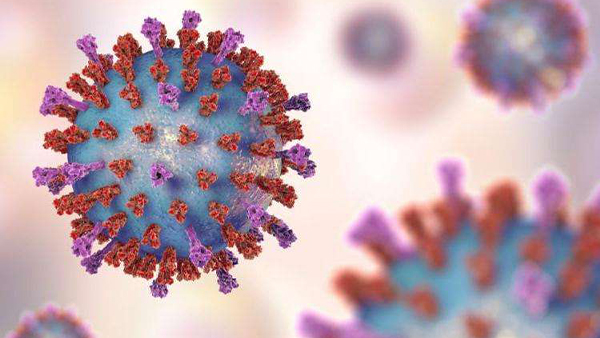 新型冠狀病毒樣子